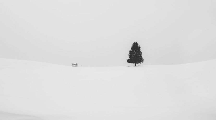 Black and White Photography Black and White Photography